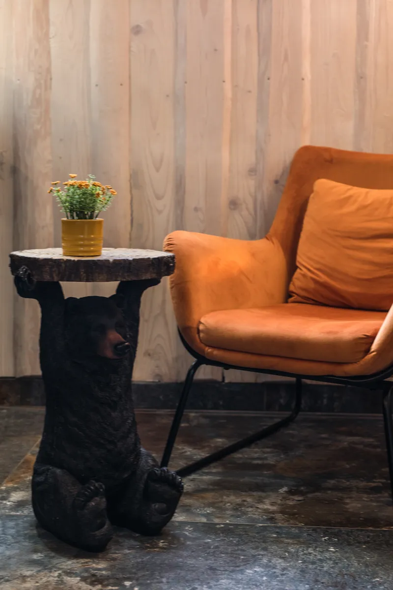 Sala kominkowa w domu w górach na wynajem Nowy Targ - wypoczynek Podhale - zdjęcie 11