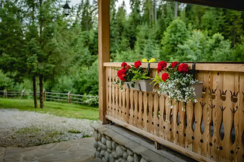Otoczenie domu w górach na wynajem Nowy Targ - wypoczynek w górach Podhale - zdjęcie 11