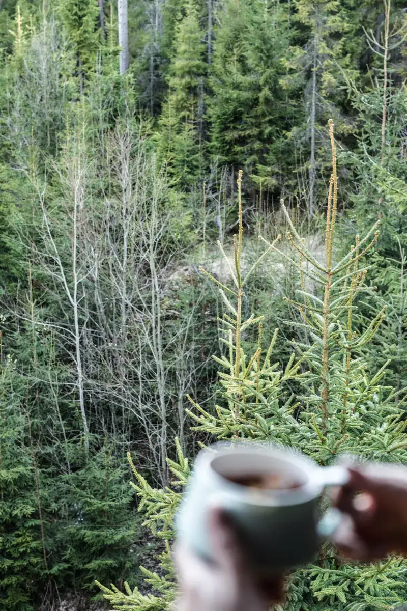 Otoczenie domu w górach na wynajem Nowy Targ - wypoczynek w górach Podhale - zdjęcie 13