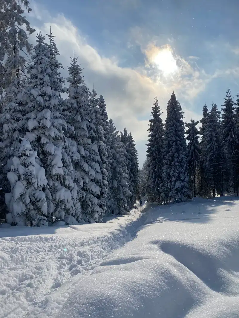 Otoczenie domu w górach na wynajem Nowy Targ - wypoczynek w górach Podhale - zdjęcie 14
