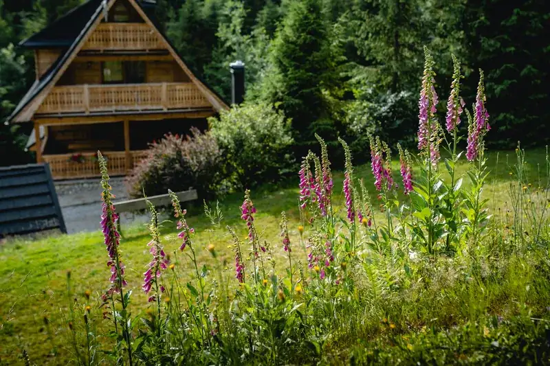 Otoczenie domu w górach na wynajem Nowy Targ - wypoczynek w górach Podhale - zdjęcie 15