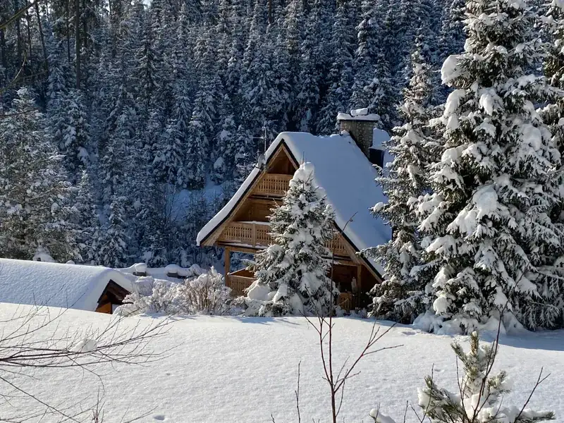 Otoczenie domu w górach na wynajem Nowy Targ - wypoczynek w górach Podhale - zdjęcie 9